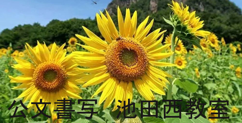 画像の説明